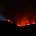 Πυρκαγιά στην Ιτέα (θέση : «παραλία Μακρύγιαλος Δεσφίνας»)– Μεγάλη κινητοποίηση  (φωτό)