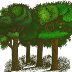 Important role of trees and plants for the environment