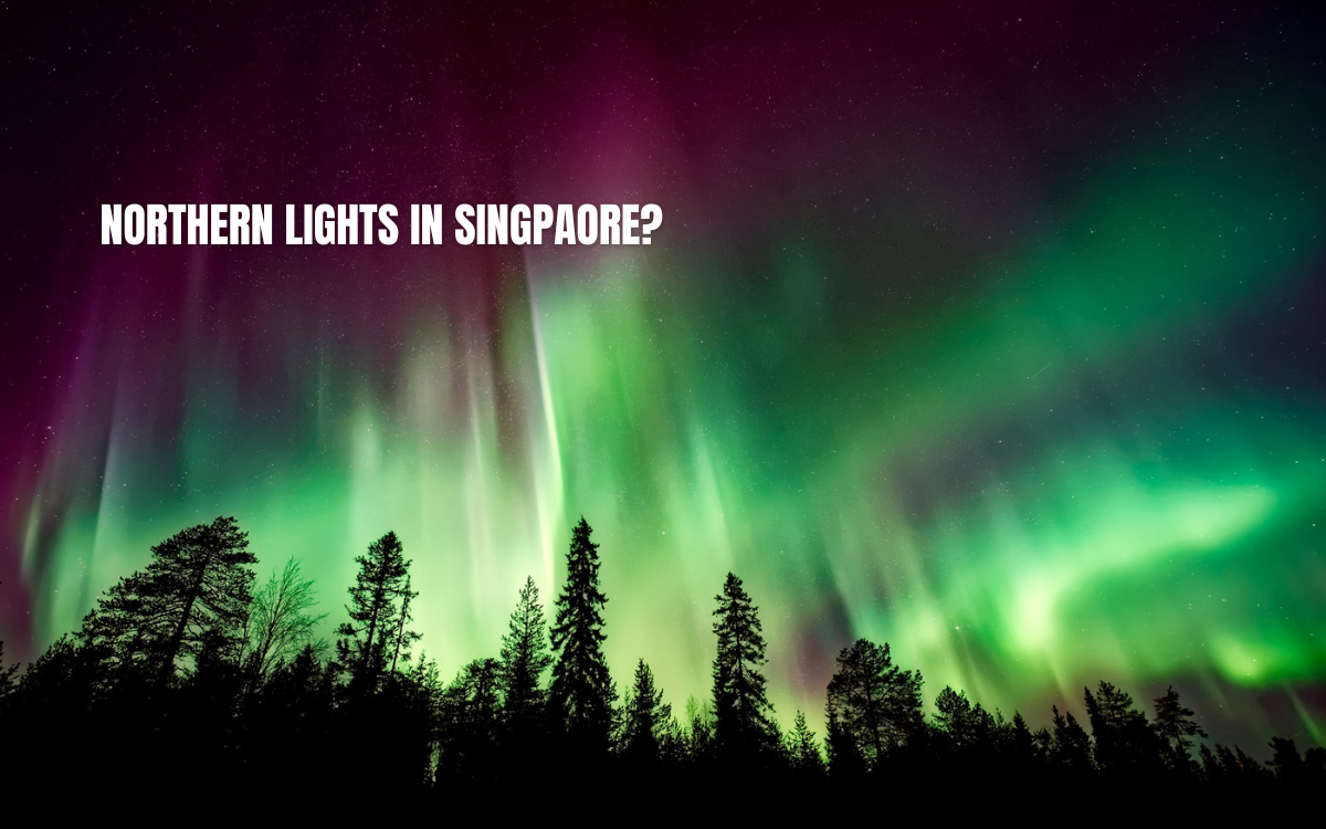 Borealis : Northern Lights coming to Supertrees Grove at Gardens by the Bay