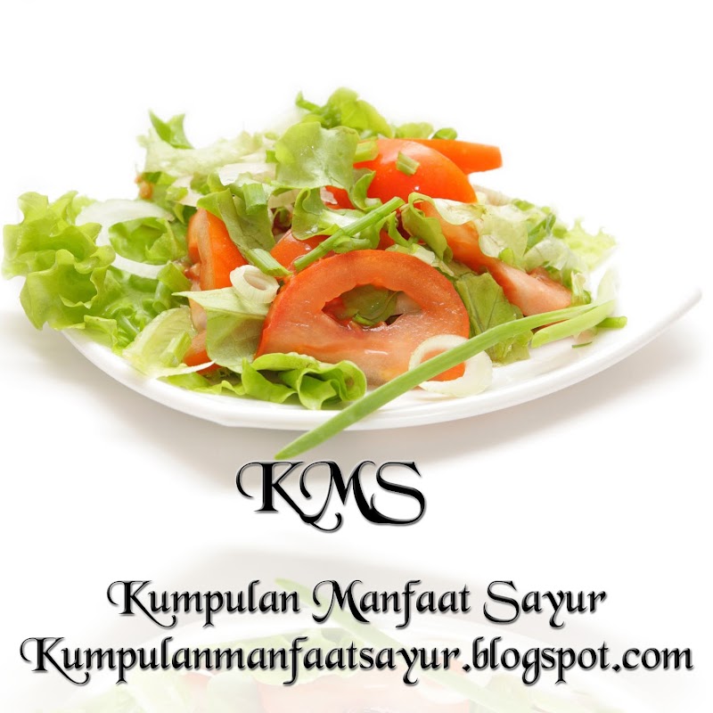 Inspirasi Top Nama Sayur, Bak Mandi Keramik