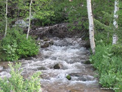 IMG_0382