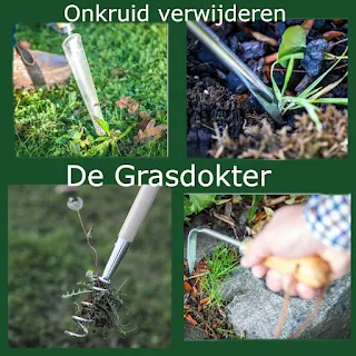 onkruid in gazon bestrijden