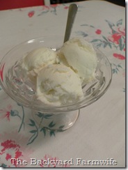 homemade sherbet- The Backyard Farmwife