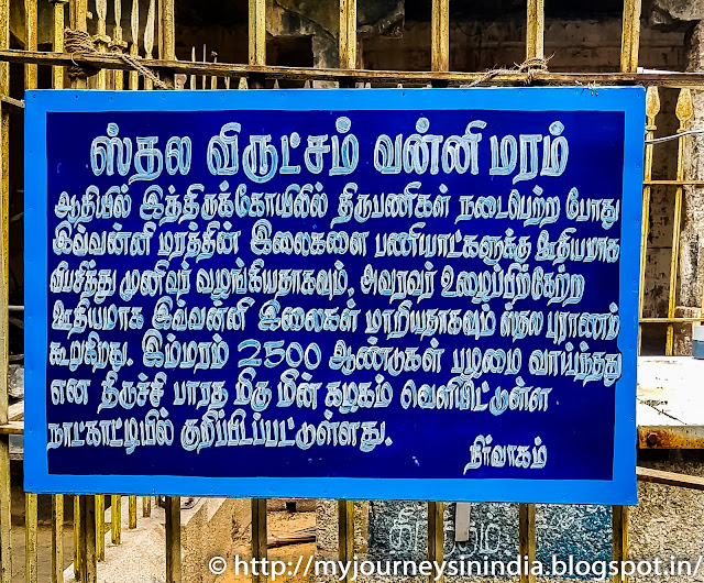 Sri Virudhagiriswarar Temple Virudhachalam