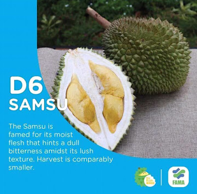 durian-ss2