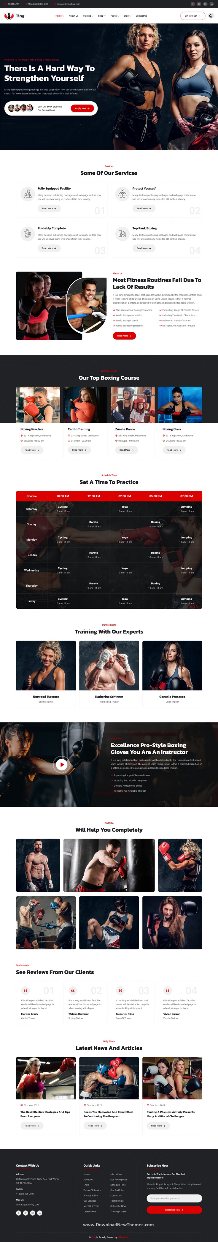 Ting - Karate & Martial Arts HTML Template Review