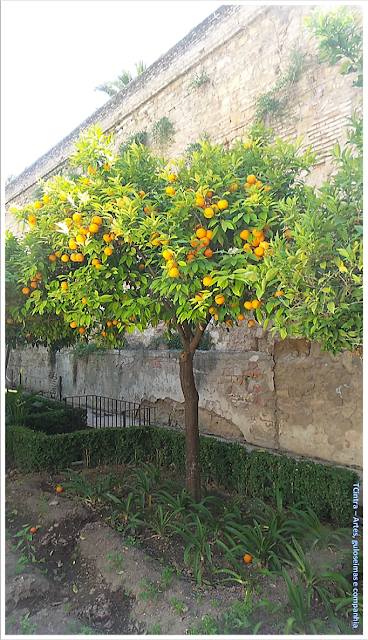 Pátio morisco; pátio mudéjar; Alcázar de los Reyes Cristianos;