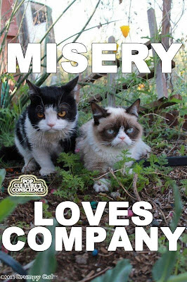 Grumpy Cat