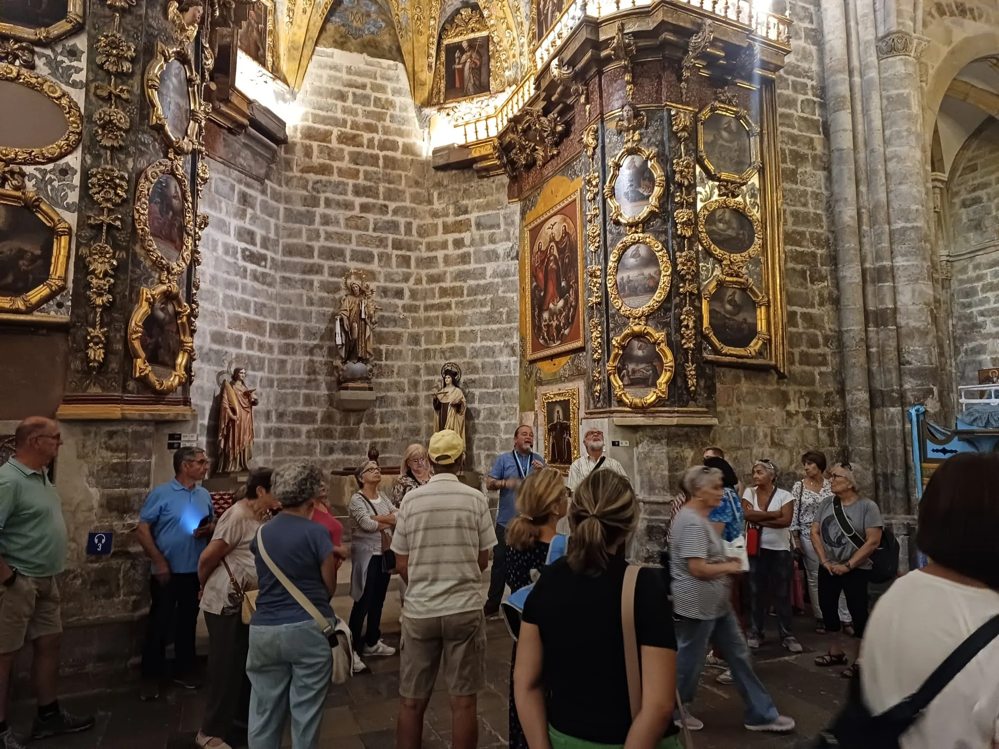 Visitant Morella