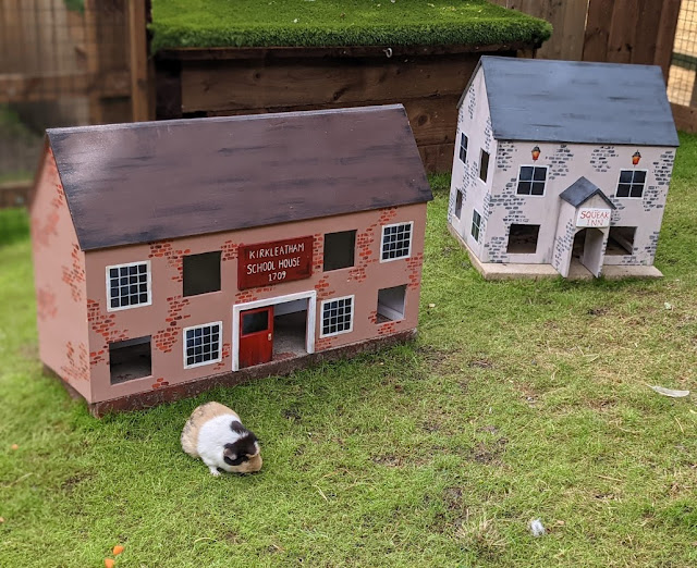 Kirkleatham Owl Centre Review - Guinea Pig Village