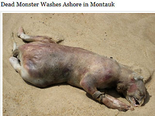 Monster of Montauk