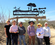 Brackenridge Park Walkers
