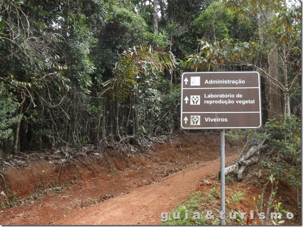 Goiapaba-Açu