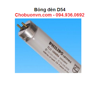 Bóng đèn D54 so màu