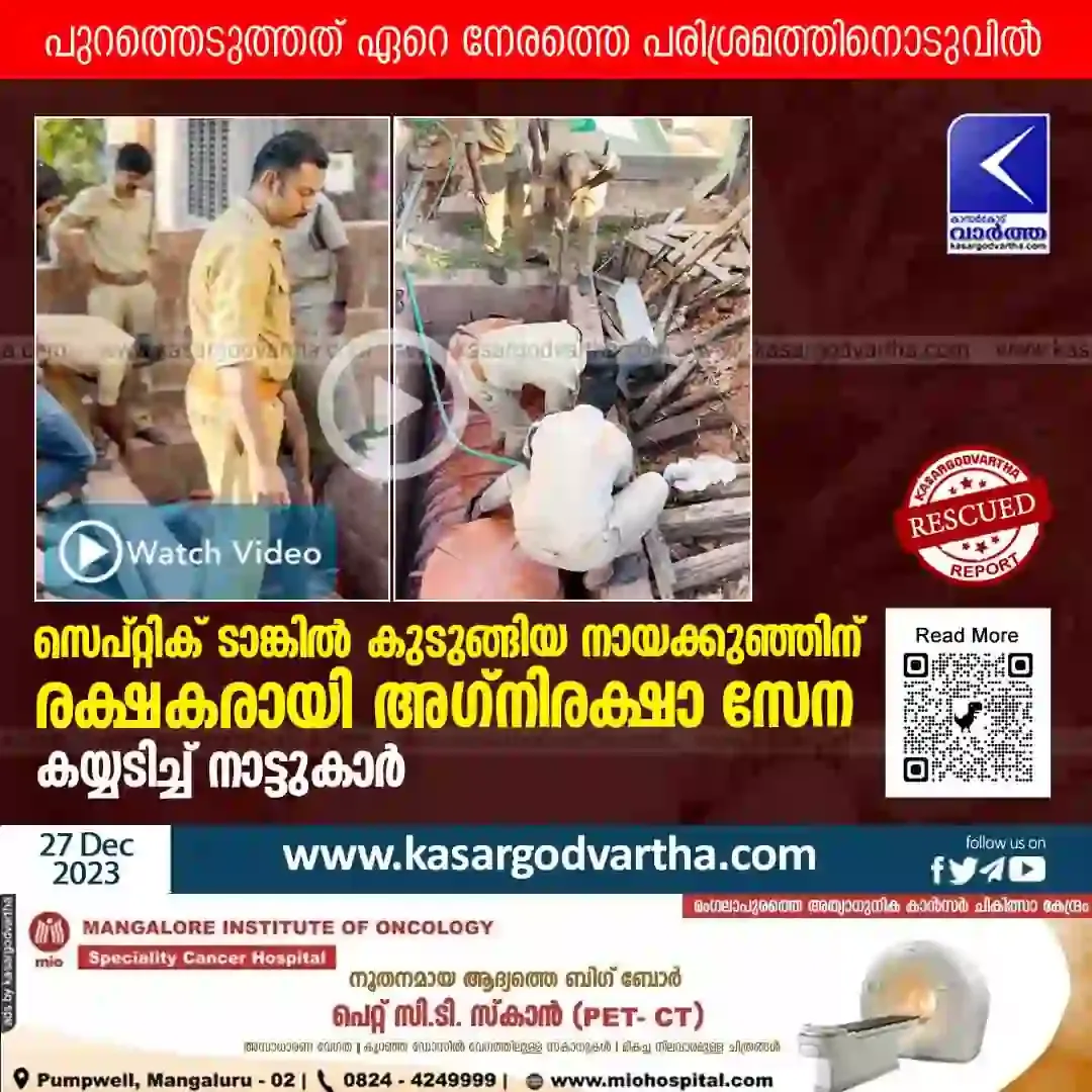 News, Kerala, Kasaragod, Fire Force, Malayalam News, Crime, Septic Tank, Dog, Rescue, Natives, Fire force rescues dog stuck on septic tank.