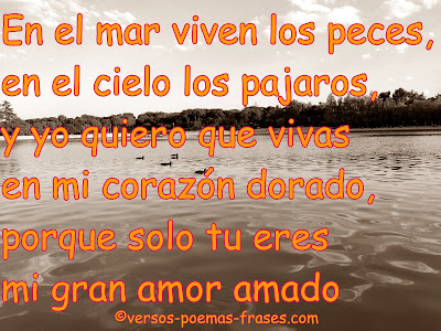 poemas cortos de amor