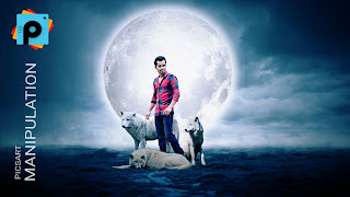 white wolf photo editing