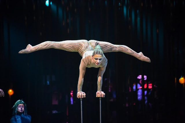 C’est Magnifique! As Cirque Comes to Toon. Review of Cirque du Soleil's Varekai in Newcastle on UK Arena Tour 2017