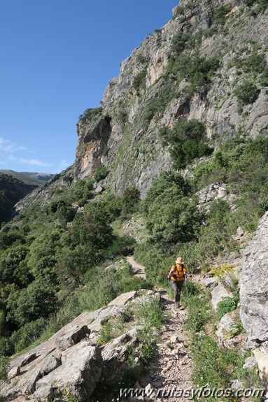 Tajo del Abanico - Encinas Borrachas - rio Audalazar - Alpandeire