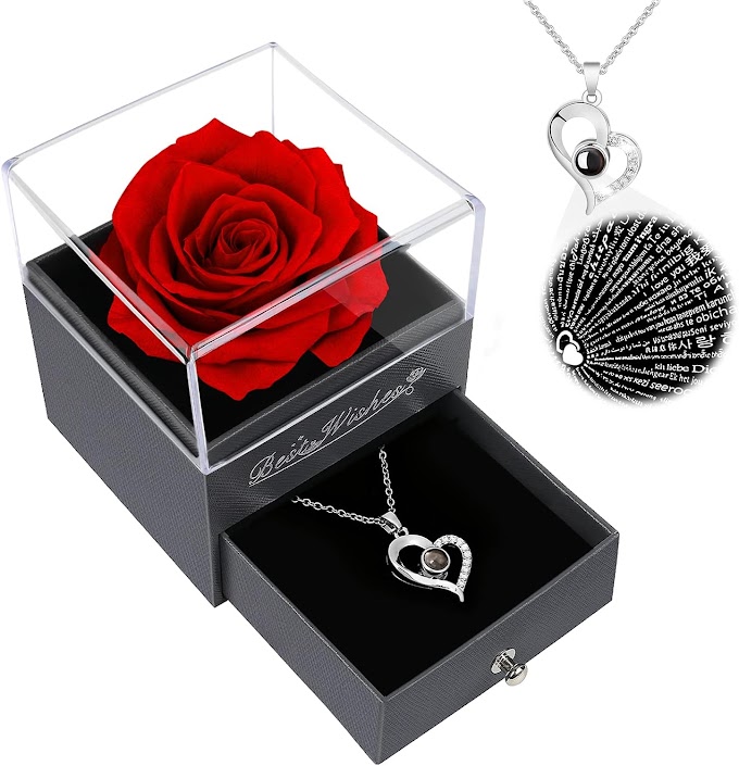 Womens Rose Gifts for Her Valentines Day,Birthday Gifts for Women,Red Preserved Flowers Rose Gifts for Mom,Valentines Day Gifts for Her,Real Rose Fresh Flower with Necklace for Women,Wife,Grandma