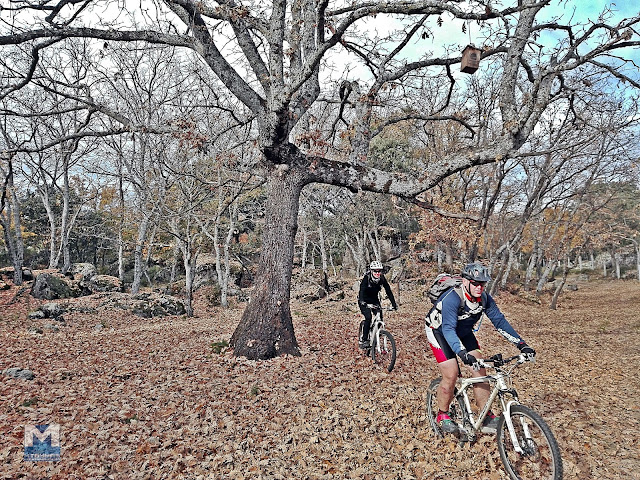 RUTA MTB SIERRA OESTE DE MADRID