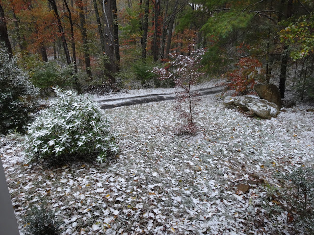 snow in autumn