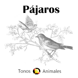 Pájaros