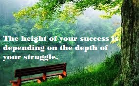 The Height Of Your Success