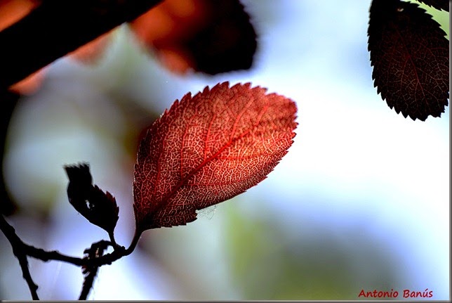_DSC7308X1