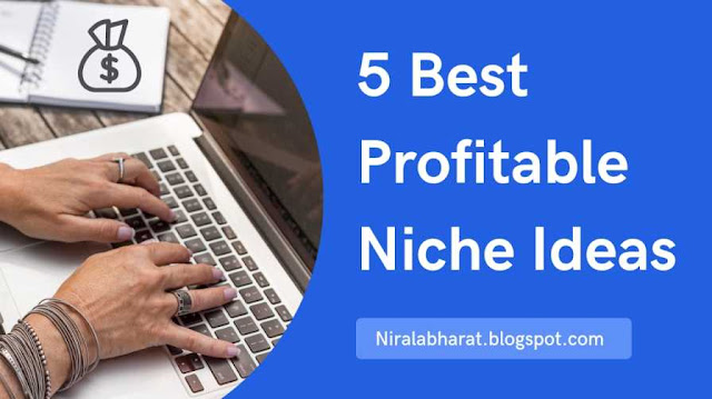 5 Best Profitable Niche Ideas, How To Find Profitable Niche For Blogging