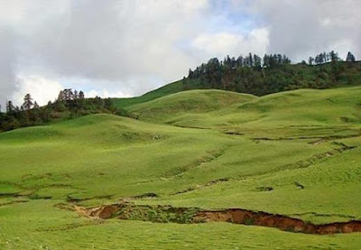 Dayara bugyal TREKKING DESTINATIONS IN UTTARAKHAND