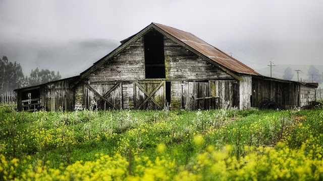 spring landscape photo hd, spring landscape image, spring landscape picture, spring landscape background, spring landscape desktop pc wallpaper, spring landscape high quality wallpaper