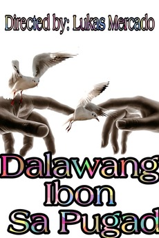 DALAWANG IBON SA PUGAD (2012)