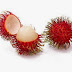 Pengertian Buah Rambutan dan Kandungan Nutrisinya