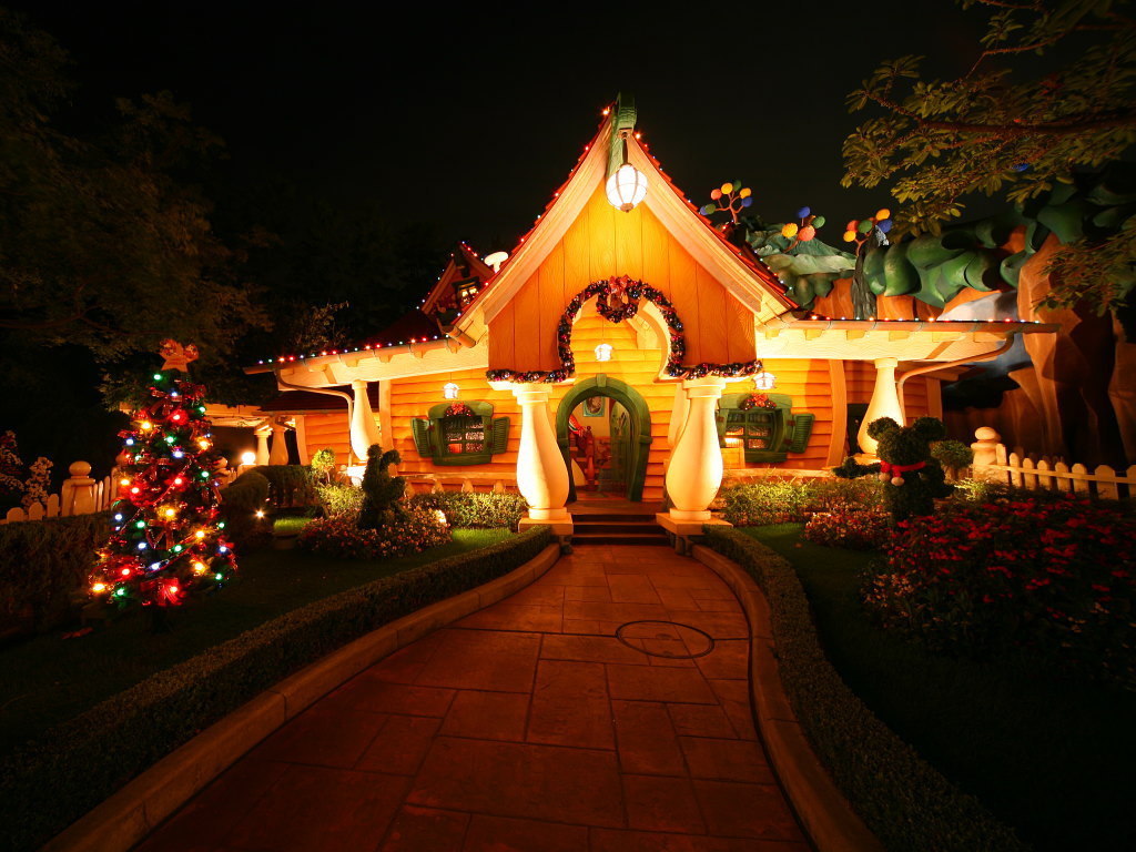 Christmas home lights decorating ideas pictures  PIXHOME