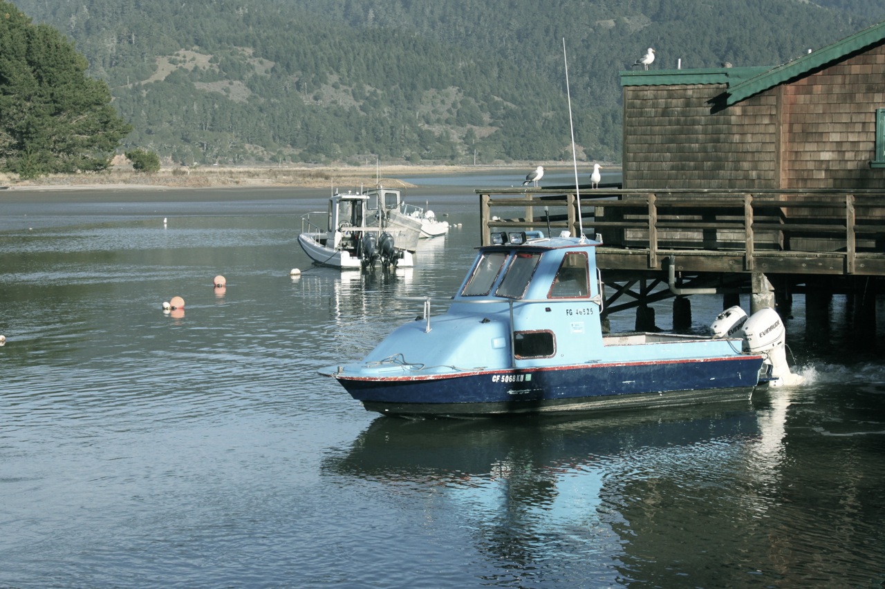 at the dock