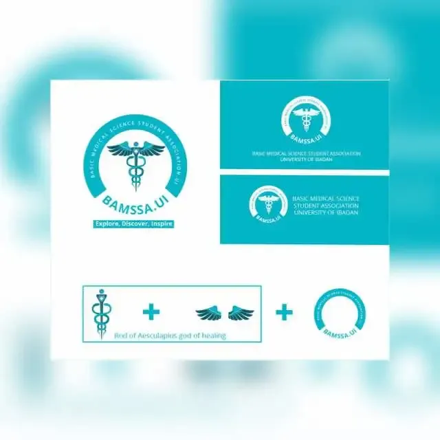 BAMSSA UI