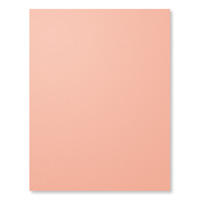 Crisp Cantaloupe 8 1 2 x11 Card Stock