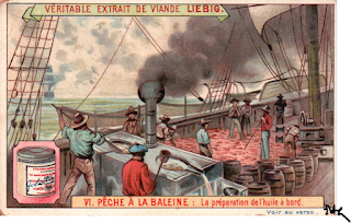 pays basque autrefois économie pêche chasse baleine