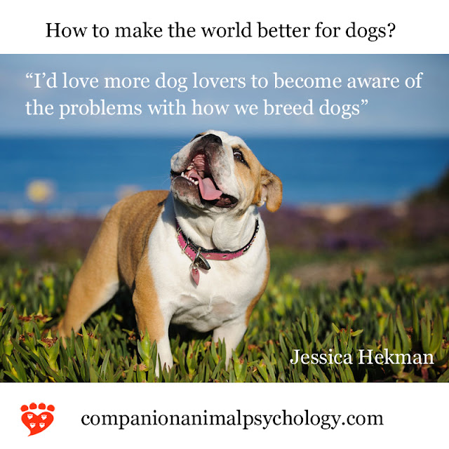 A better world for dogs: Become aware of the problems with how we breed dogs