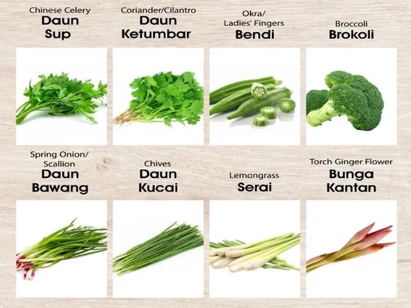 Senarai Tumbuhan Herba Dapur Dan Sayuran Dalam Masakan Malaysia