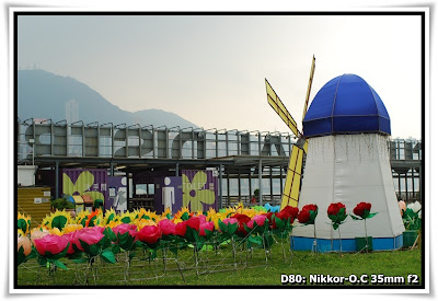 西九龍海濱長廊【花月慶中秋】(Glittering Garden under the Moon@West Kowloon Waterfront Promenade)