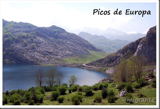 2011-04 - picos de europa