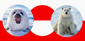 Greenlandic seal and bear