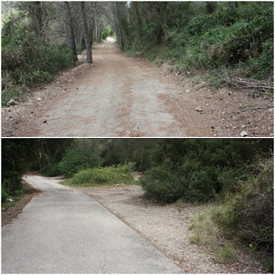 CALAFELL-MONTPAÓ-URBANITZACIÓ VALLDEMAR-TORRE D'EN VIOLA- EL PUJAL-LA TALAIA, Camí en direcció al Fondo de la Graiera