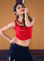 Nishi Gandha in Beautiful Red Crop Top ~  Exclusive 008.jpg