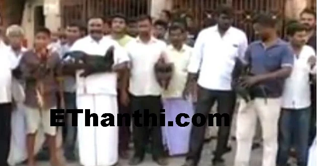 திருச்சியில் தடையை மீறி சேவல் சண்டை !