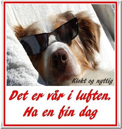 12472428_10153478378451129_1500082342172961084_n