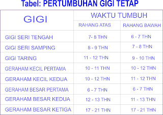 PDGI CABANG WONOGIRI PERGANTIAN GIGI SUSU DENGAN GIGI TETAP