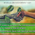 How To Celebrate World Environment Day June 5 